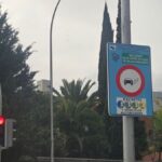 Qué coches sin etiqueta pueden entrar a Madrid desde el 1 de enero de 2025