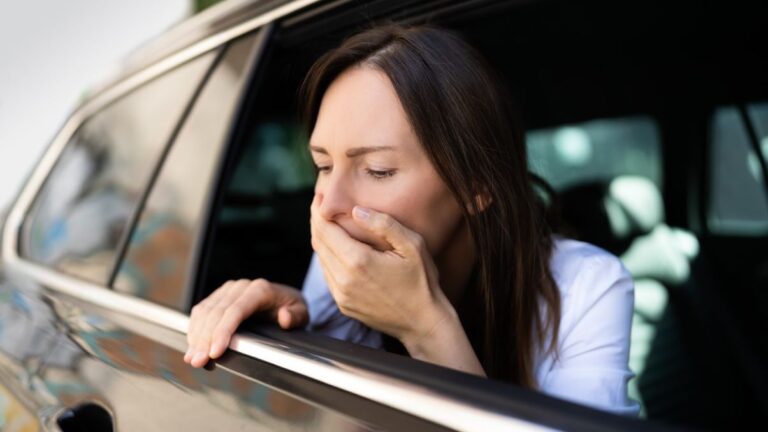 mareo en el coche (2)
