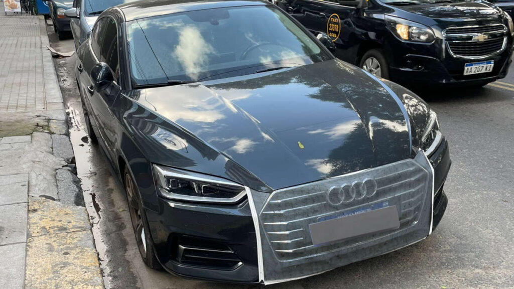 Bichos Audi en Argentina