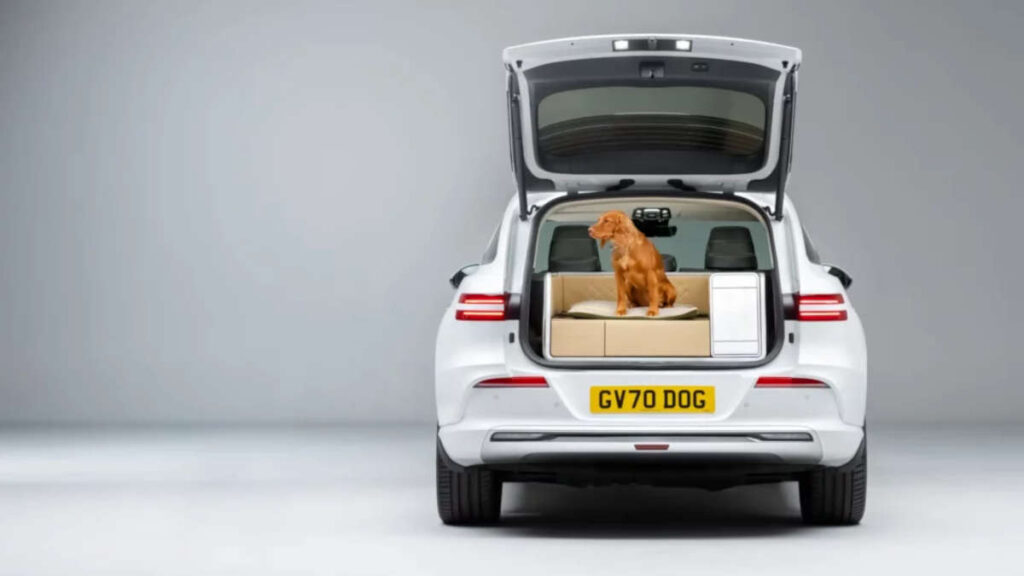 Genesis X Dog