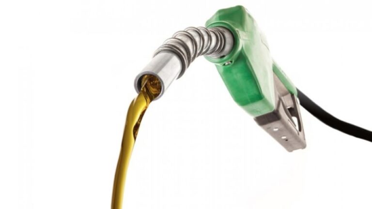 Caducidad combustible plazos