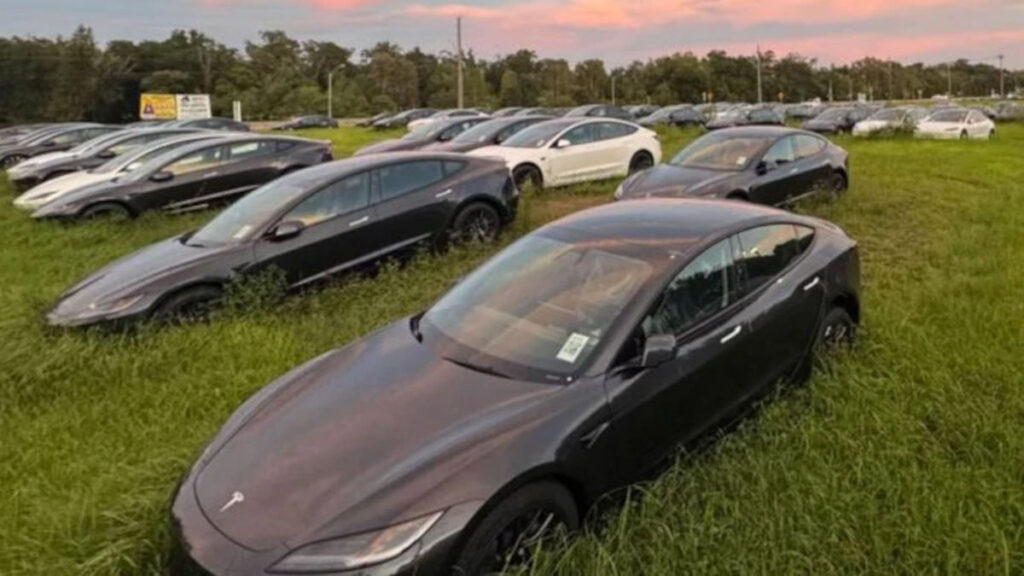 Tesla abandonados en Florida