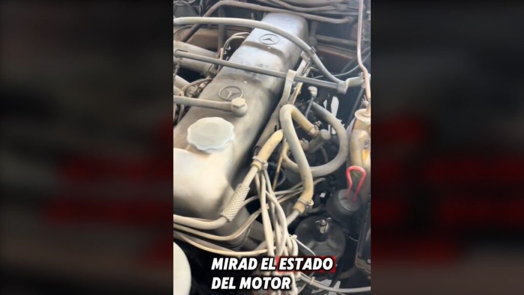 Mercedes 220se clasico