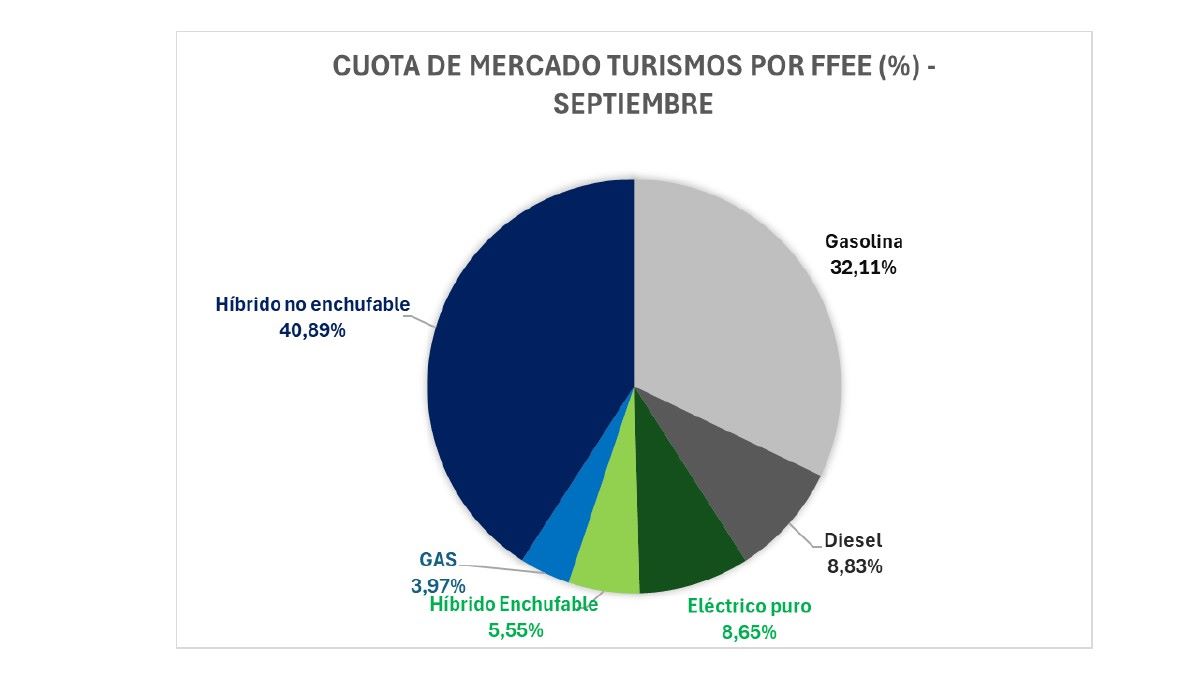 ventas de coches electrificados septiembre 2024