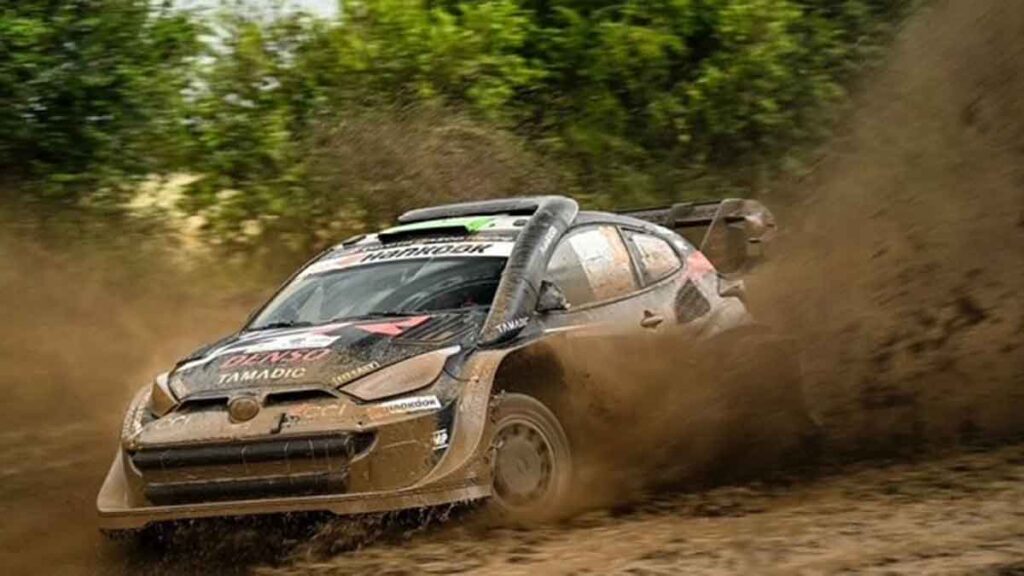 Evans Safari 2025