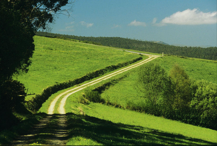 caminosantiago1-1_g