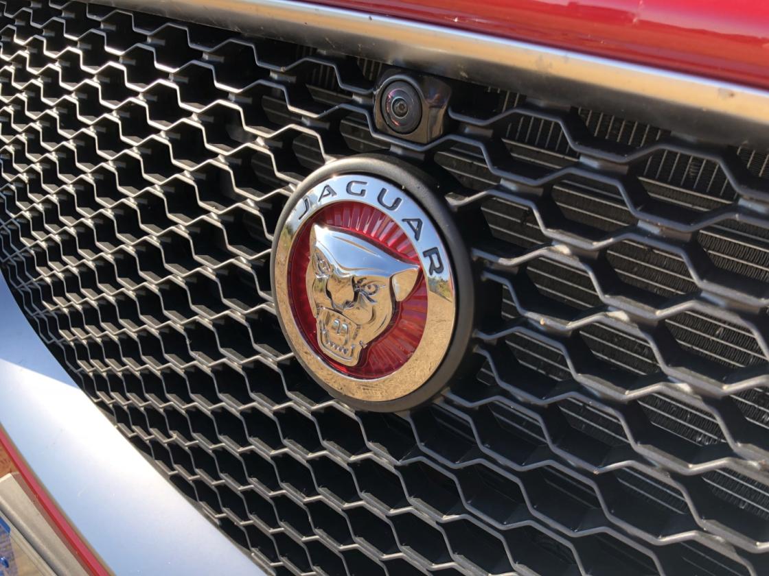 jaguar-pace-sport-1_g