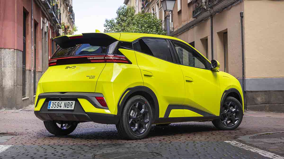 DOLPHIN SURF Lime Green Estatico 40