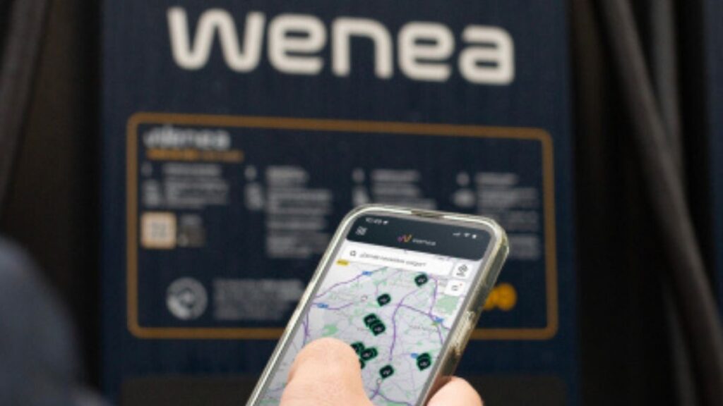Wenea portada