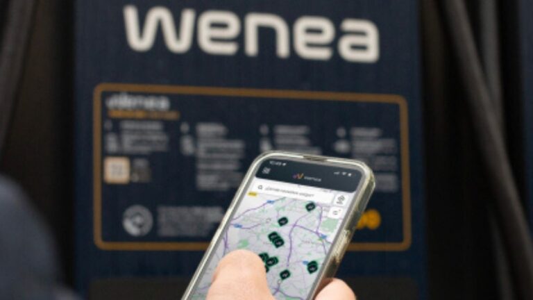 Wenea portada