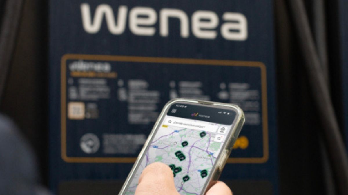 Wenea portada
