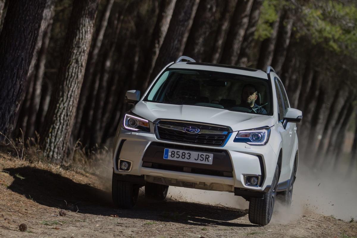 subaru-forester-1_g