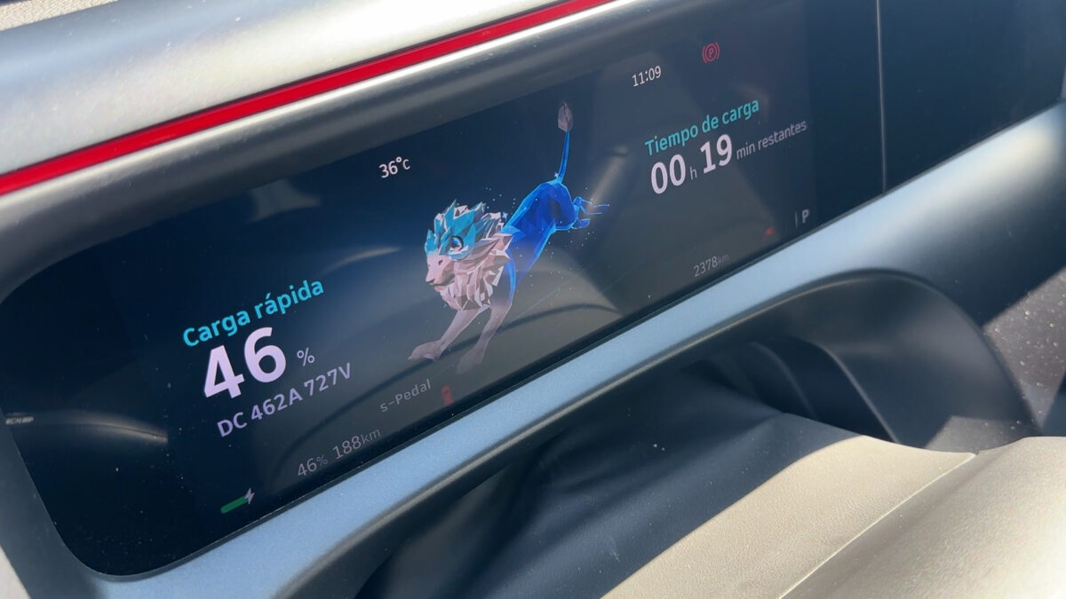 Video prueba Smart #5