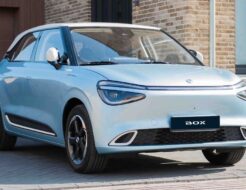 BOX Dongfeng DSC 9834 Portrait MatriculaBOX