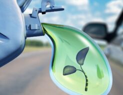 La UE apunta al fin del biocombustible de soja: qué cambios traerá para los coches en Europa biocombustibles