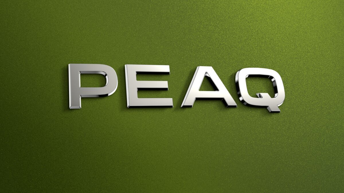 Skoda peaq