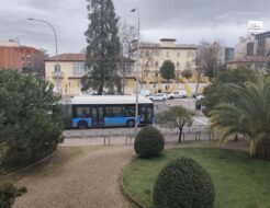 autobús madrid