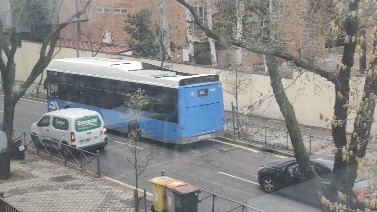 autobuses jóvenes