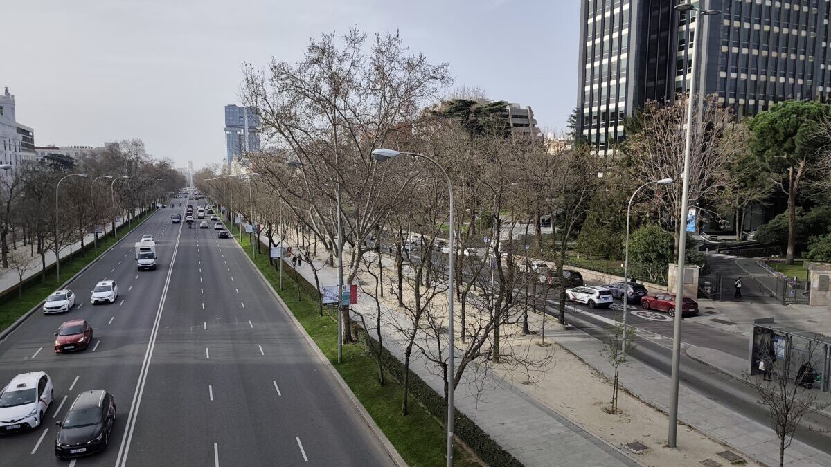 Etiqueta C y B, las categorías de coches que más circulan por nuestras carreteras
