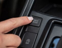 Modos de conducción