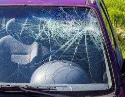 seguro a todo riesgo