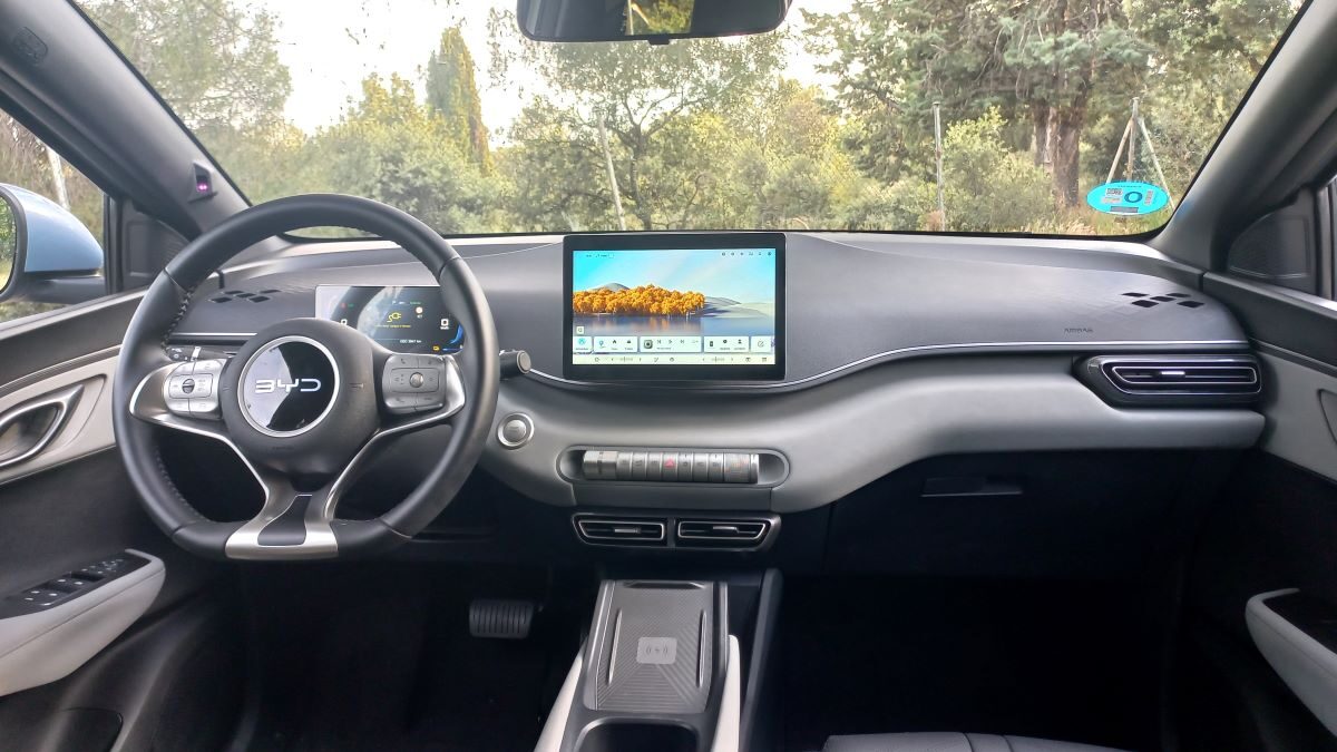 BYD Dolphin Surf (1)