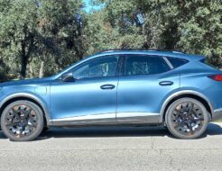 ¿Cuánto cuesta un Cupra Formentor de segunda mano? Cupra Formentor 2021 (4)