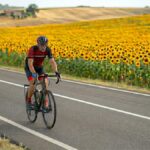 bicicleta en un campo