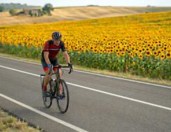bicicleta en un campo