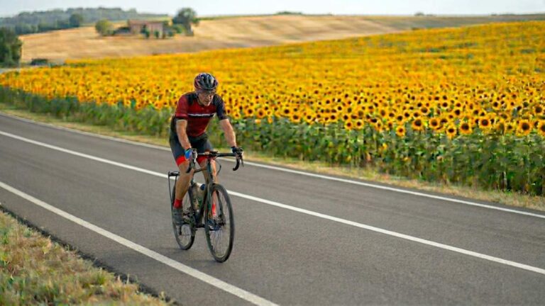 bicicleta en un campo