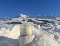 El calienta biberones portátil para coche y viajes con bebés cybelestar stellar winter travel