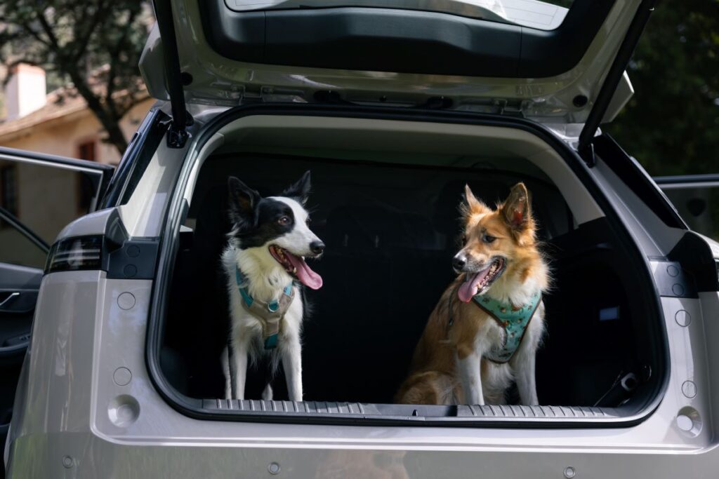 JAECOO 5 Viajar con mascotas (1)