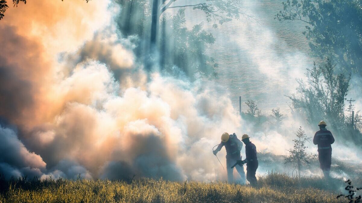 incendio 2